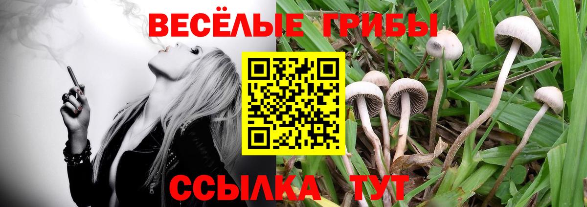 Рубцовск  Псилоцибиновые грибы Psilocybe  Галлюциногенные грибы MAGIC MUSHROOMS  Вход с VPN 